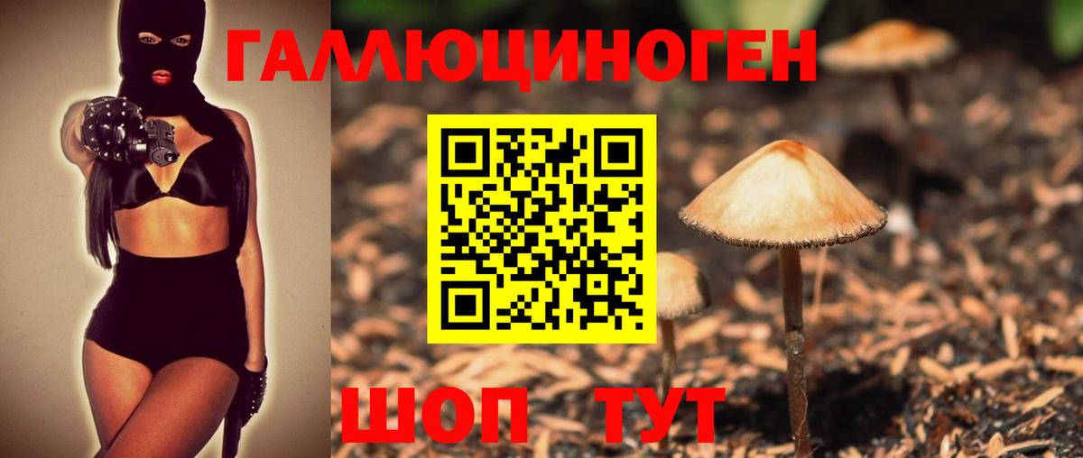 Балабаново  Галлюциногенные грибы Psilocybine cubensis  Вход с VPN 