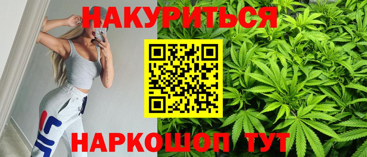 Конопля сатива Балабаново